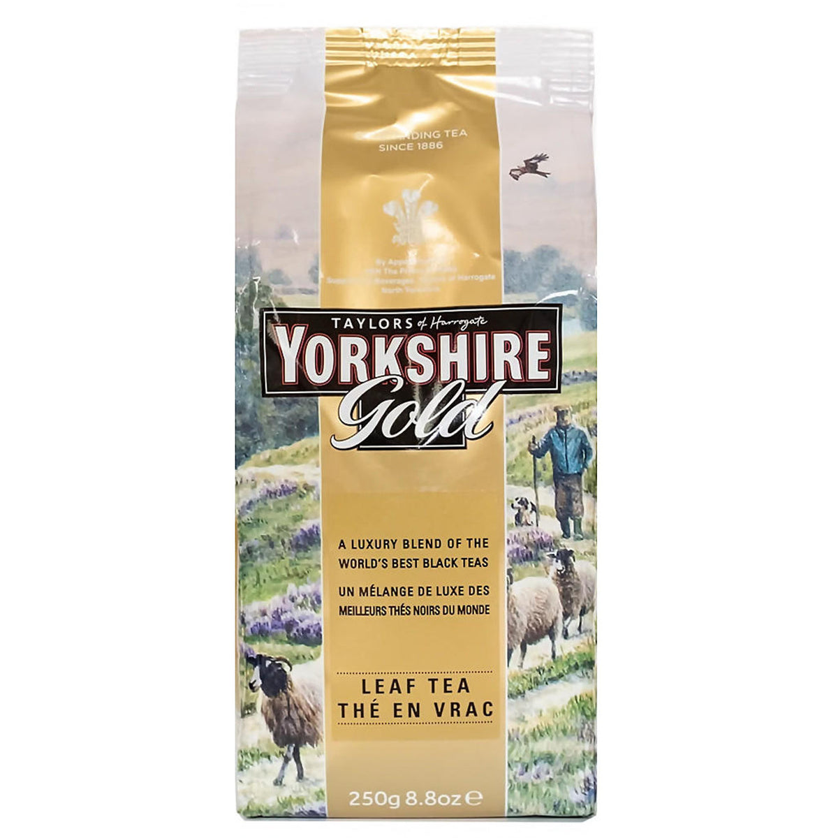 Taylors of Harrogate Yorkshire Gold - Loose – Queen's Pantry Teas