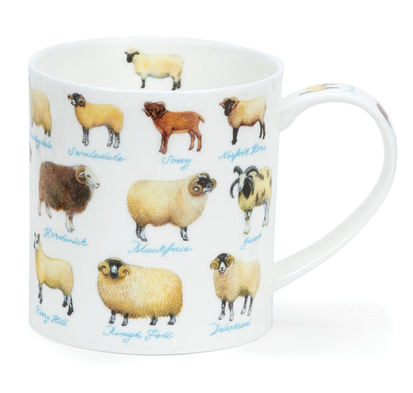Dunoon Orkney Farm Sheep Mug