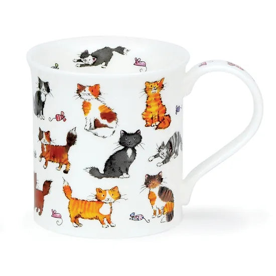 Dunoon Bute Cute Kittens Mug